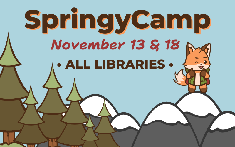 SpringyCamp All Libraries website image (1)