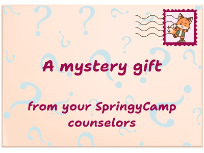 SpringyCamp Care Packet